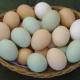 Аллергия на яйца – что об этом надо знать?