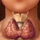 симптомы воспаления щитовидной железы