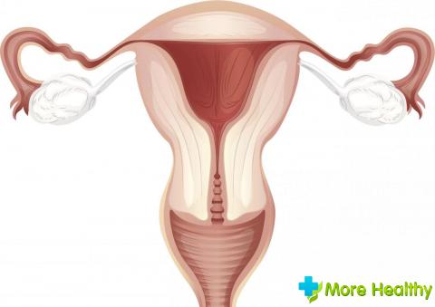 Удалили эндометриоидную кисту яичника беременность