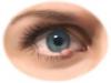 Ячмень под глазом – следствие ослабленного иммунитета